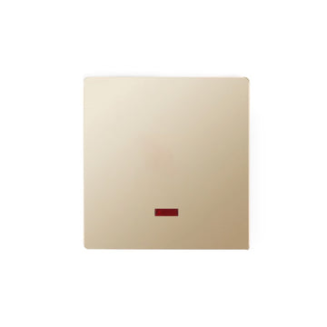 FSL 1 Gang 45A DP Indicator Switch – Golden Modular Heavy-Duty
