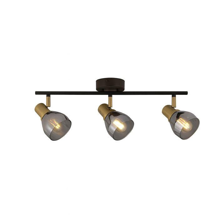 Searchlight Light Bar Spotlight in Black & Satin Brass with Smoked Glass