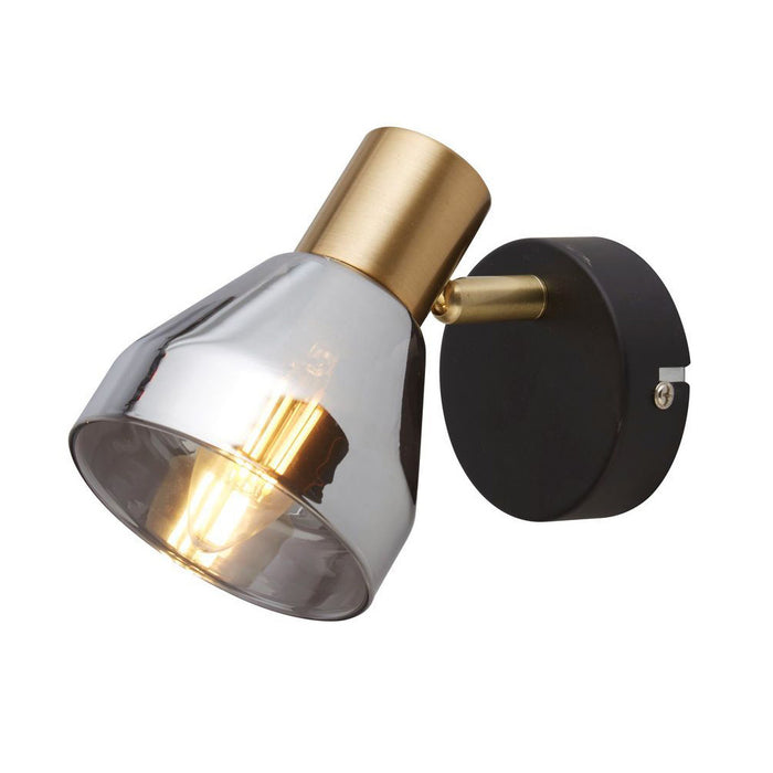 Searchlight Light Spotlight in Black & Satin Brass with Smoked Glass